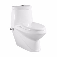 Das populäre Design-Kombinations-Toiletten-Bidet des Mittlere Ostens